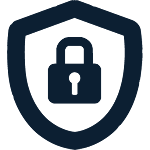 Cybersecurity Solutions Icon